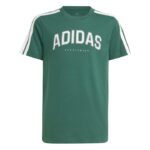 adidas Codes Collegiate Graphic T-Shirt Kids Παιδικό Kοντομάνικο Πράσινο