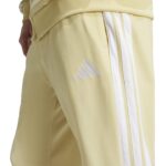 adidas Sportswear Basic 3-Stripes Tricot Track Suit Σετ Φόρμας Γυαλιστερό Κίτρινο Ανοιχτό