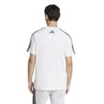 adidas Codes Collegiate Linear Graphic Tee Ανδρικό Κοντομάνικο Λευκό / Πράσινο