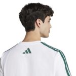 adidas Codes Collegiate Linear Graphic Tee Ανδρικό Κοντομάνικο Λευκό / Πράσινο