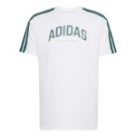 adidas Codes Collegiate Linear Graphic Tee Ανδρικό Κοντομάνικο Λευκό / Πράσινο