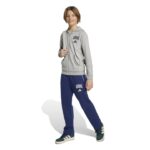 adidas Seasonals Essentials Collegiate Typography Full-Zip Hoodie Παιδική Ζακέτα Γκρι