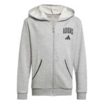 adidas Seasonals Essentials Collegiate Typography Full-Zip Hoodie Παιδική Ζακέτα Γκρι