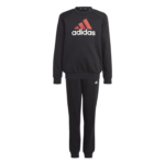 adidas Essentials Big Logo Fleece Jogger Set Kids