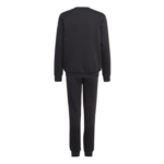 adidas Essentials Big Logo Fleece Jogger Set Kids