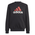 adidas Essentials Big Logo Fleece Jogger Set Kids
