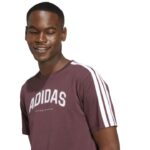 adidas Codes Collegiate Linear Graphic Tee Ανδρικό Κοντομάνικο Μπορντό