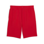 Puma Ess 2 Color No. 1 Logo Shorts 10 TR Ανδρική Βερμούδα Κόκκινη