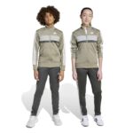 adidas Seasonal Essentials Tiberio 3-Stripes Tricot Track Suit Kids Παιδικό Σετ Λαδί / Γκρι