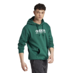 adidas All SZN Fleece Graphic Hoodie