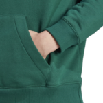 adidas All SZN Fleece Graphic Hoodie