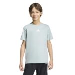 adidas Essentials Tee Παιδική Μπλούζα Βεραμάν