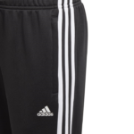 adidas Designed 2 Move 3-Stripes Pants
