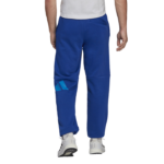 adidas Future Icons Pants