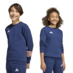 adidas Παιδικό φούτερ Entrada 26 Μπλε