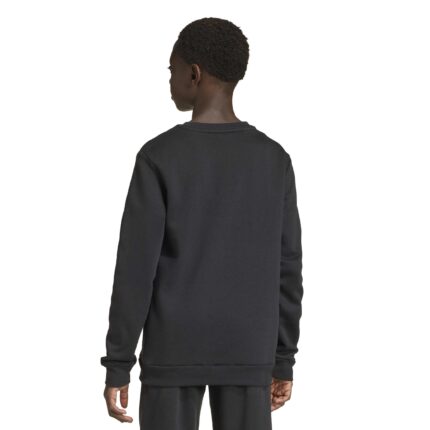adidas Παιδικό φούτερ Entrada 26 Μαύρη